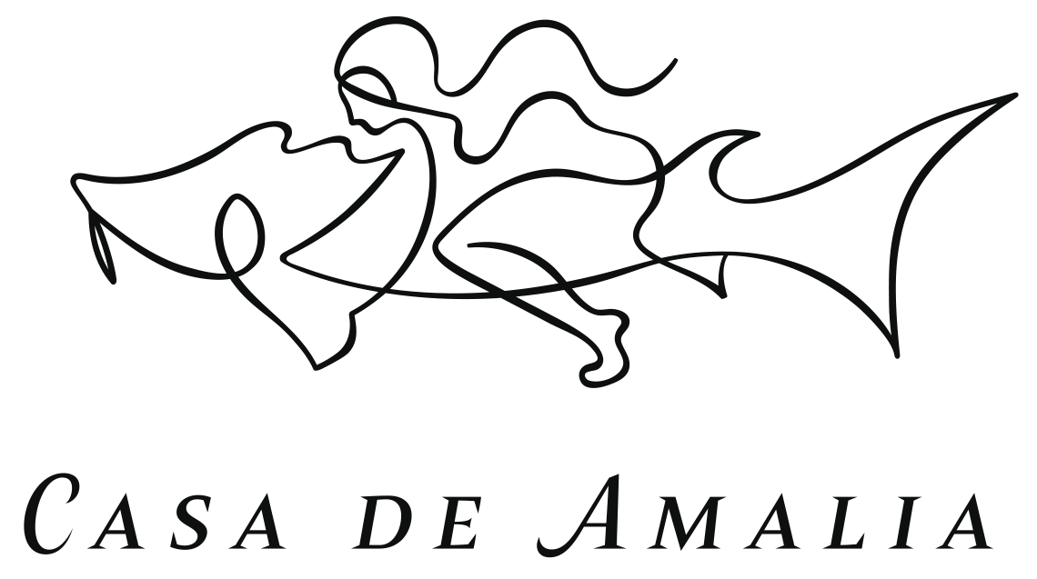 Casa de Amalia